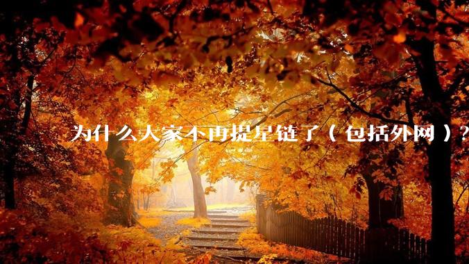 为什么大家不再提星链了（包括外网）？