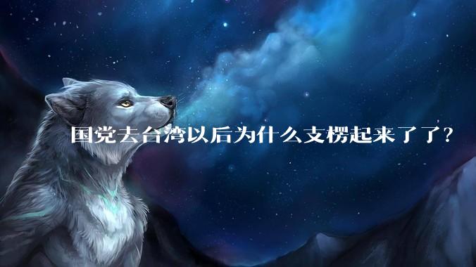 国党去台湾以后为什么支楞起来了了？