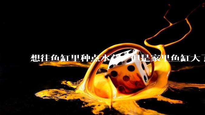 想往鱼缸里种点水草，但是家里鱼缸大了买水草泥或者底砂太贵了，有没有生活中可以替代的物品或其他建议？