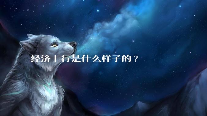 经济上行是什么样子的?