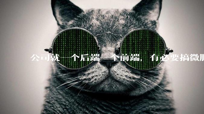 公司就一个后端一个前端，有必要搞微服务吗？