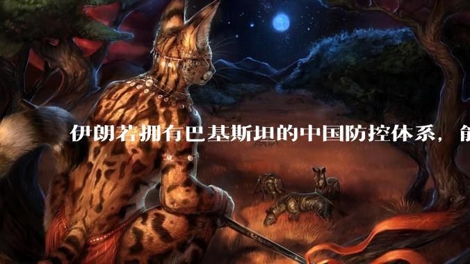 伊朗若拥有巴基斯坦的中国防控体系，能否把美国的B2轰炸机打下来？如果打下会对世界局势产生什么影响？