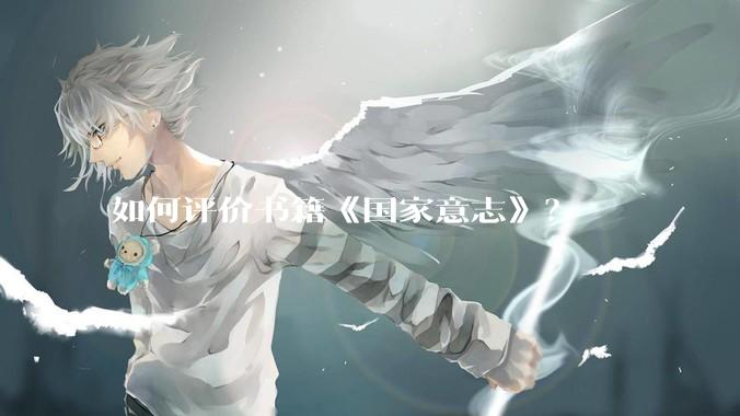 如何评价书籍《国家意志》？