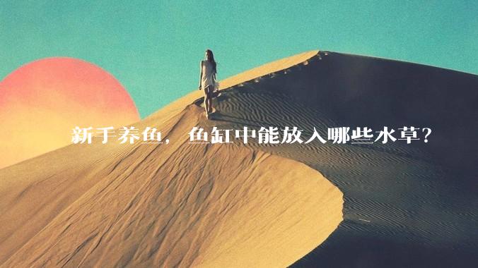 新手养鱼，鱼缸中能放入哪些水草？