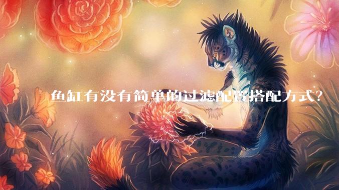 鱼缸有没有简单的过滤配置搭配方式？