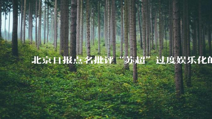 北京日报点名批评“苏超”过度娱乐化的动机是什么？