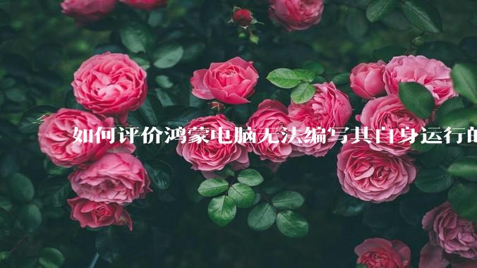 如何评价鸿蒙电脑无法编写其自身运行的程序？