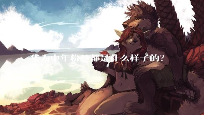 华为中年粉丝都是什么样子的？