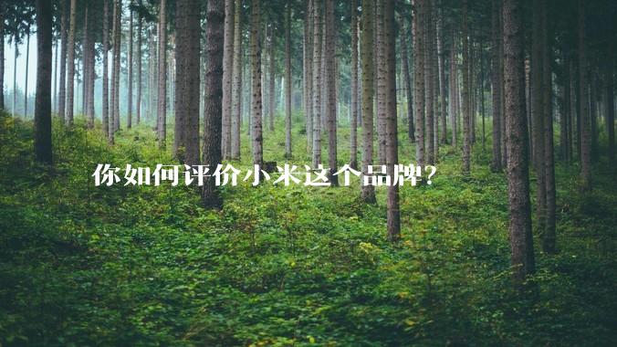 你如何评价小米这个品牌？