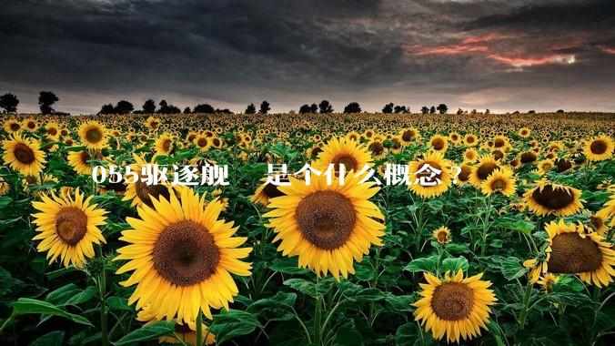 055驱逐舰  是个什么概念?