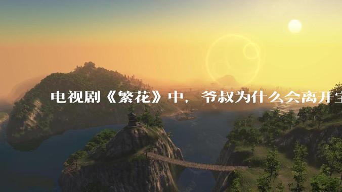 电视剧《繁花》中，爷叔为什么会离开宝总？