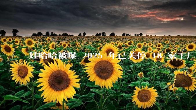 娃哈哈被曝 2025 年已关停 18 家工厂，此前曾回应纯净水由今麦郎代工，娃哈哈到底在布局什么？