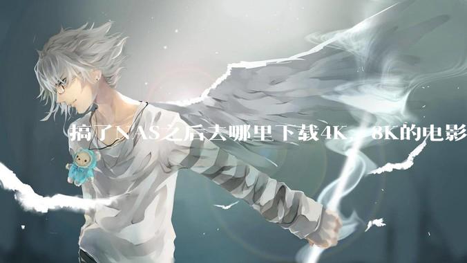 搞了NAS之后去哪里下载4K，8K的电影？