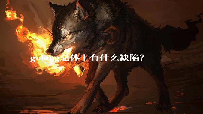 golang总体上有什么缺陷？