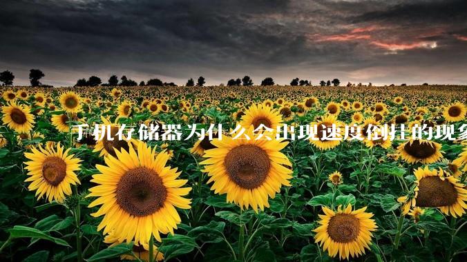 手机存储器为什么会出现速度倒挂的现象，外存比内存快？