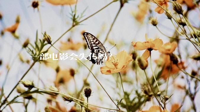 一部电影会失传吗？