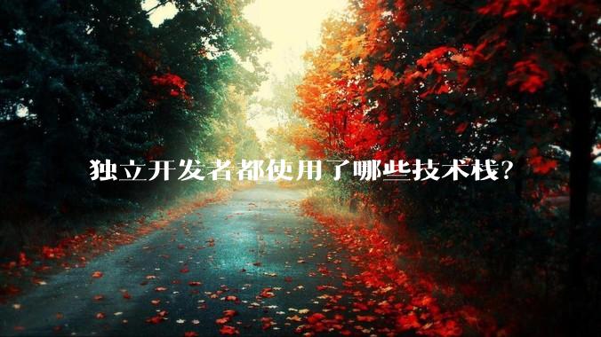 独立开发者都使用了哪些技术栈？