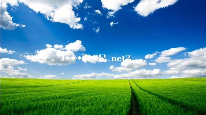 迷茫。J***a还是.net？